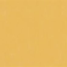 Obrázek pro kategorii 2205 OSMO Selská barva Sluneč. žluť 